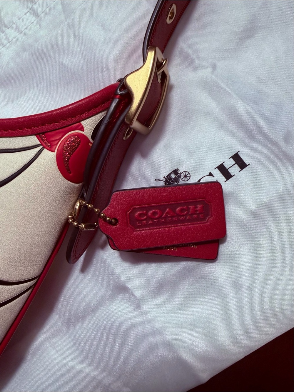 Coach Cherry Print Hampton Hobo Bag - Picture 10 of 14